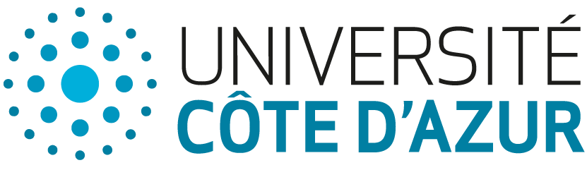 Logo IUT Nice Côte d'Azur